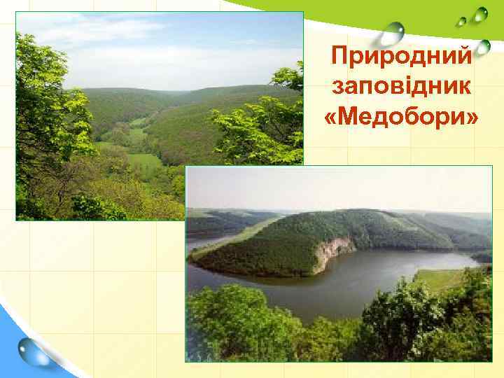 Природний заповідник «Медобори» 