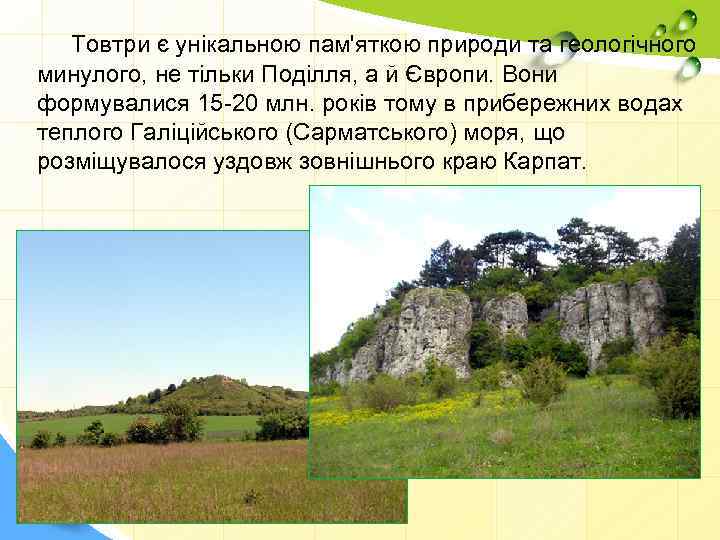 Товтри є унікальною пам'яткою природи та геологічного минулого, не тільки Поділля, а й Європи.
