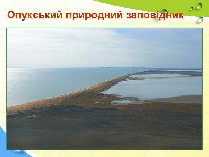 Опукський природний заповідник 