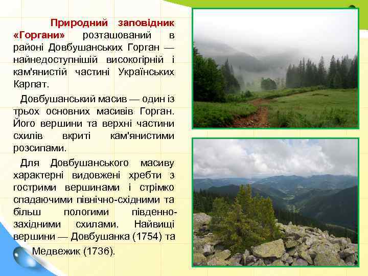 Природний заповідник «Горгани» розташований в районі Довбушанських Горган — найнедоступнішій високогірній і кам'янистій частині