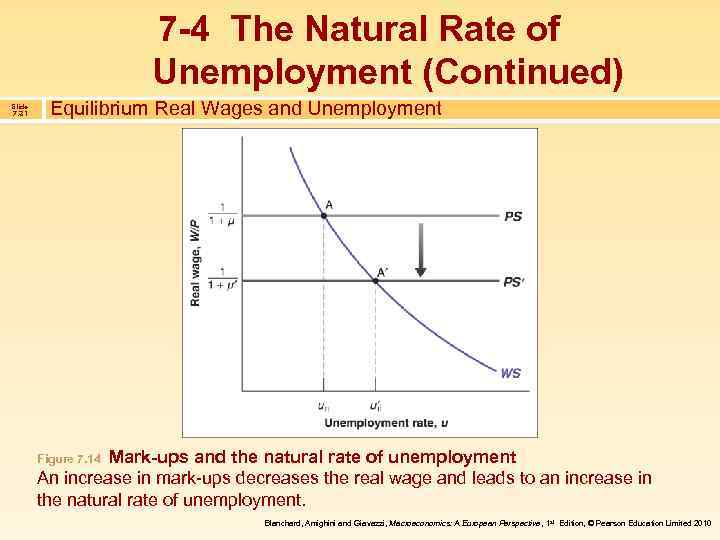 7 -4 The Natural Rate of Unemployment (Continued) Slide 7. 31 Equilibrium Real Wages