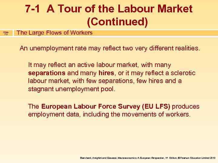 7 -1 A Tour of the Labour Market (Continued) Slide 7. 6 The Large