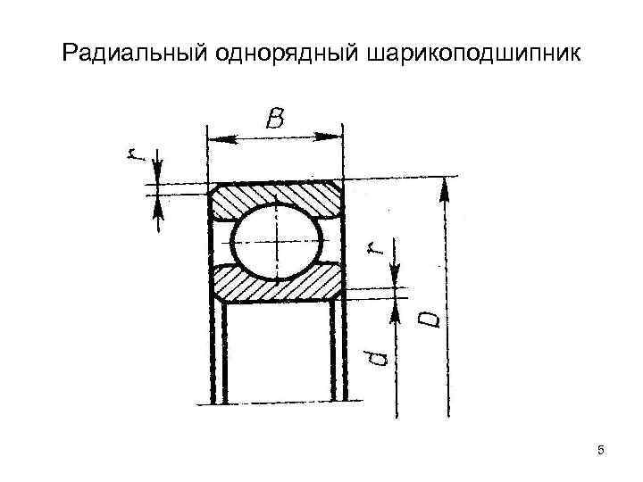 Радиальный однорядный шарикоподшипник 5 
