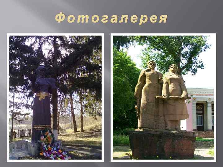 Фотогалерея 