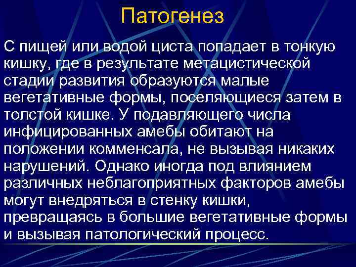 Патогенез С пищей или водой циста попадает в тонкую кишку, где в результате метацистической