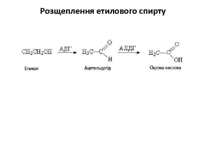 Розщеплення етилового спирту 