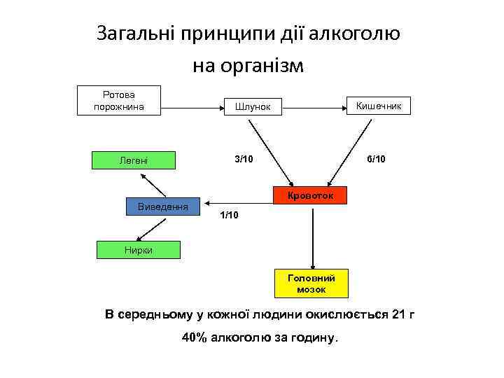 Загальні принципи дії алкоголю на організм Ротова порожнина Кишечник Шлунок 3/10 Легені 6/10 Кровоток