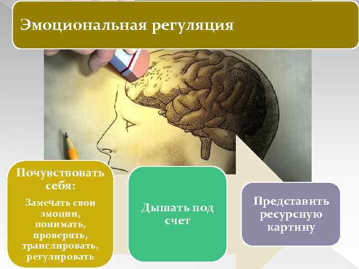 Эмоциональная регуляция Почувствовать себя: Замечать свои эмоции, понимать, проверять, транслировать, регулировать Дышать под счет