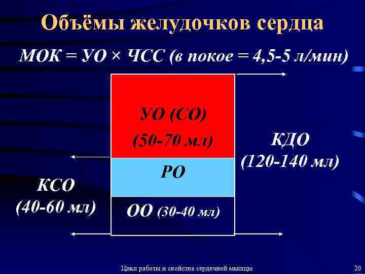 Объёмы желудочков сердца МОК = УО × ЧСС (в покое = 4, 5 -5