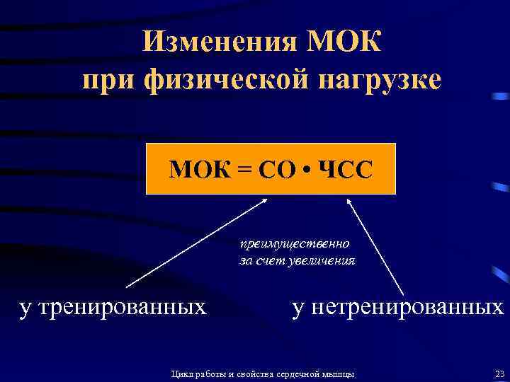 Изменения МОК при физической нагрузке МОК = СО • ЧСС преимущественно за счет увеличения