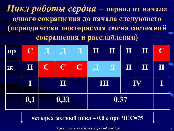 Цикл работы сердца – период от начала одного сокращения до начала следующего (периодически повторяемая