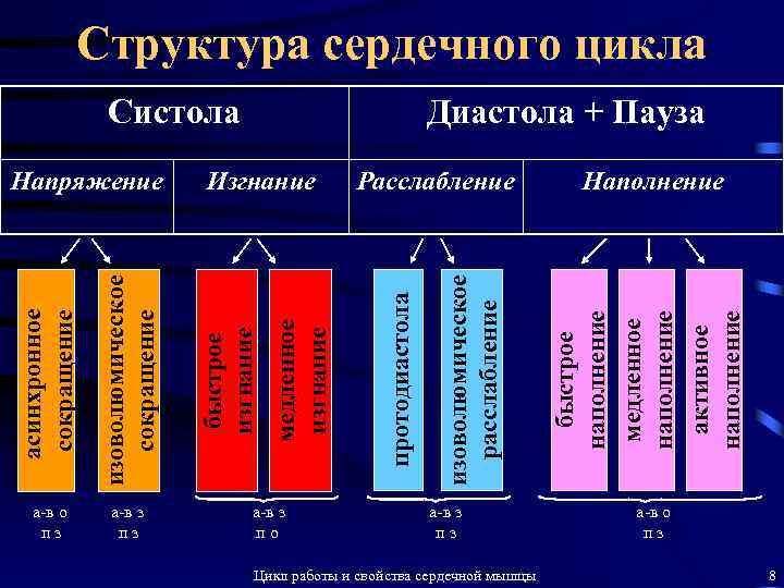 изоволюмическое сокращение а-в о пз а-в з по Расслабление а-в з пз Цикл работы