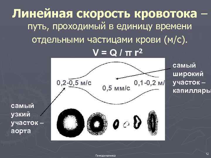 Линейная скорость кровотока – путь, проходимый в единицу времени отдельными частицами крови (м/с). V