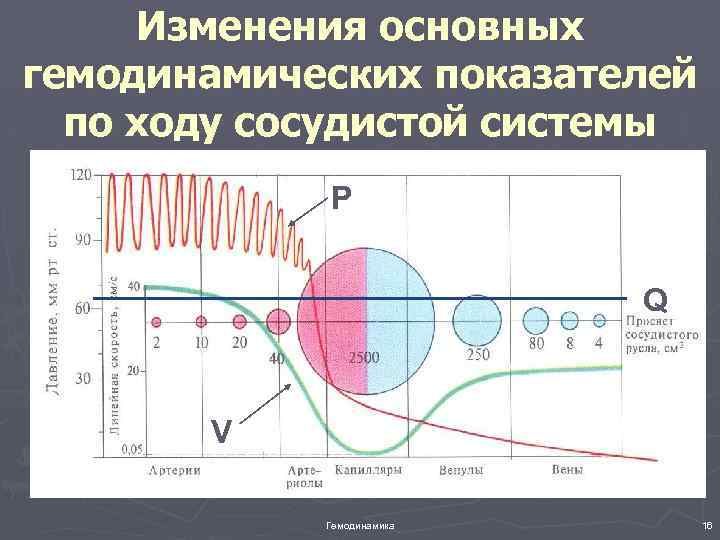 Изменения основных гемодинамических показателей по ходу сосудистой системы P Q V Гемодинамика 16 