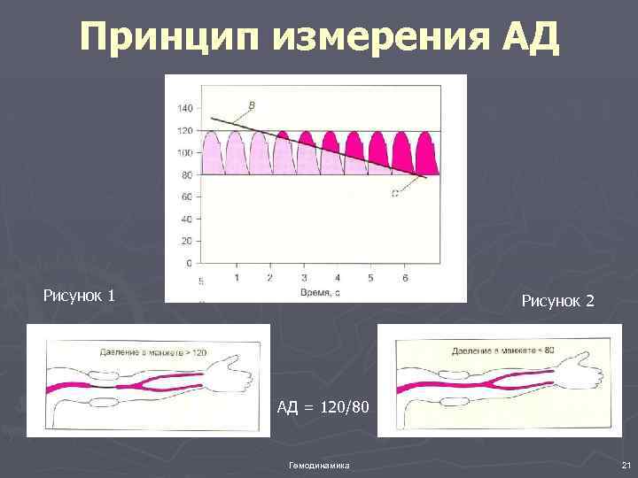 Принцип измерения АД Рисунок 1 Рисунок 2 АД = 120/80 Гемодинамика 21 