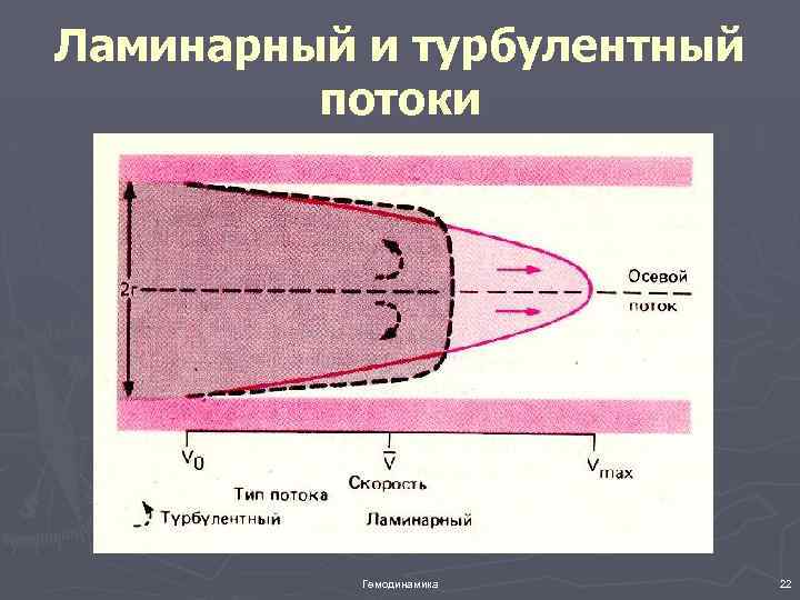 Ламинарный и турбулентный потоки Гемодинамика 22 