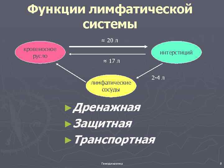 Функции лимфатической системы ≈ 20 л кровеносное русло интерстиций ≈ 17 л лимфатические сосуды