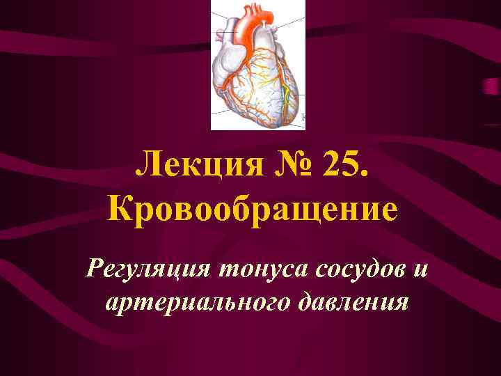 Лекция № 25. Кровообращение Регуляция тонуса сосудов и артериального давления 