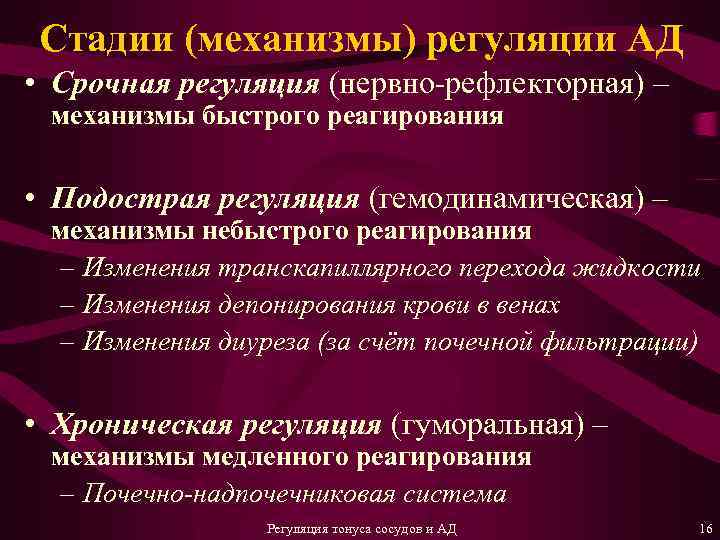 Стадии (механизмы) регуляции АД • Срочная регуляция (нервно-рефлекторная) – механизмы быстрого реагирования • Подострая