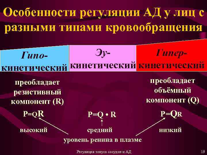 Особенности регуляции АД у лиц с разными типами кровообращения Эу. Гипер. Гипокинетический преобладает объёмный