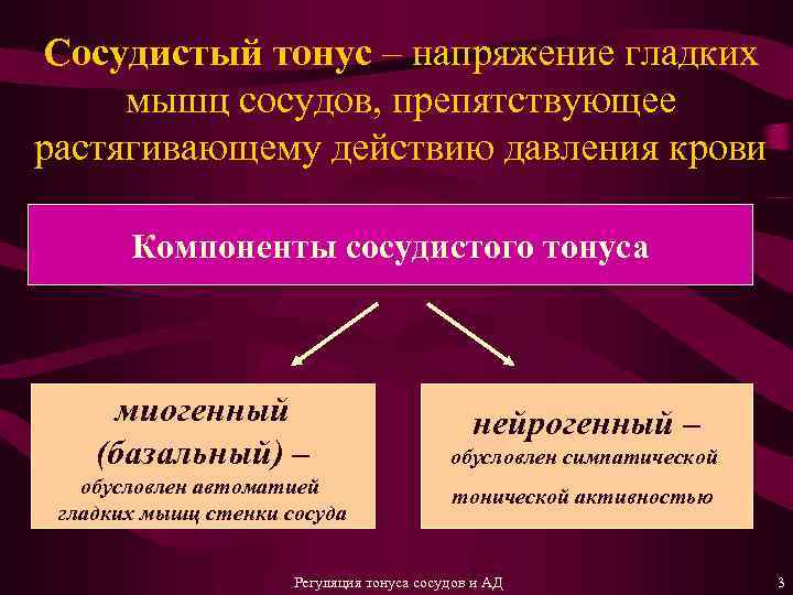 Сосудистый тонус – напряжение гладких мышц сосудов, препятствующее растягивающему действию давления крови Компоненты сосудистого