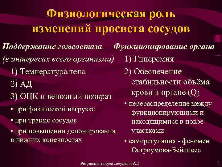 Физиологическая роль изменений просвета сосудов Поддержание гомеостаза Функционирование органа (в интересах всего организма) 1)