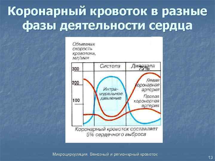 Коронарный кровоток в разные фазы деятельности сердца 75% Микроциркуляция. Венозный и регионарный кровоток 13