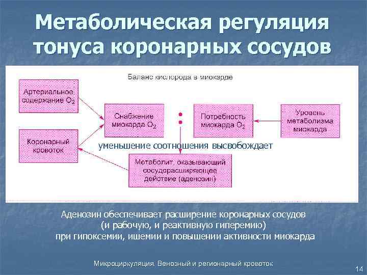 Метаболическая инженерия презентация