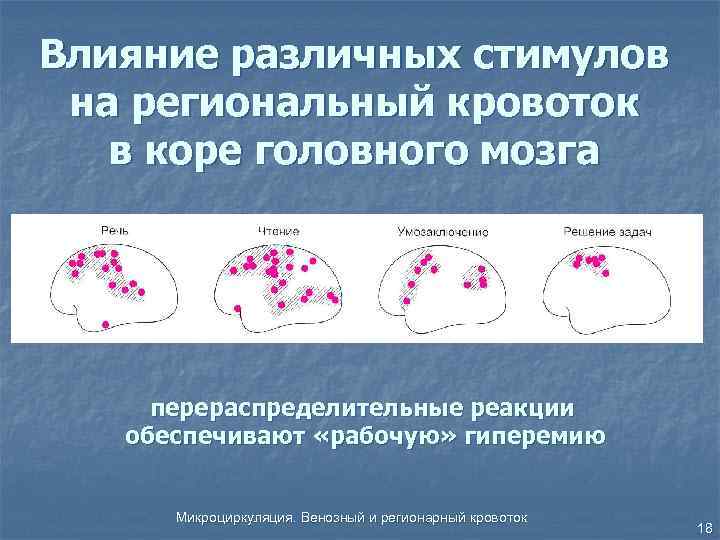 Влияние различных стимулов на региональный кровоток в коре головного мозга перераспределительные реакции обеспечивают «рабочую»
