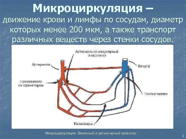 Микроциркуляция – движение крови и лимфы по сосудам, диаметр которых менее 200 мкм, а