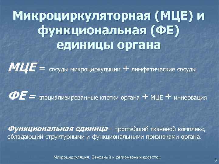Микроциркуляторная (МЦЕ) и функциональная (ФЕ) единицы органа МЦЕ = сосуды микроциркуляции + лимфатические сосуды