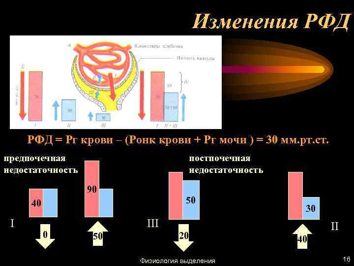 Изменения РФД = Pг крови – (Pонк крови + Pг мочи ) = 30