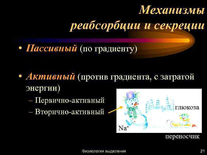 Механизмы реабсорбции и секреции • Пассивный (по градиенту) • Активный (против градиента, с затратой