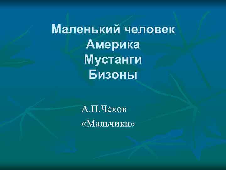 Маленький человек Америка Мустанги Бизоны А. П. Чехов «Мальчики» 