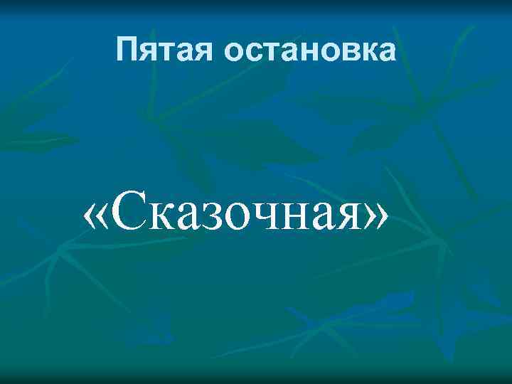 Пятая остановка «Сказочная» 