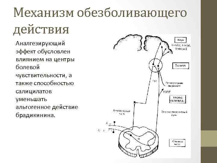 Механизм обезболивающего действия Аналгезирующий эффект обусловлен влиянием на центры болевой чувствительности, а также способностью