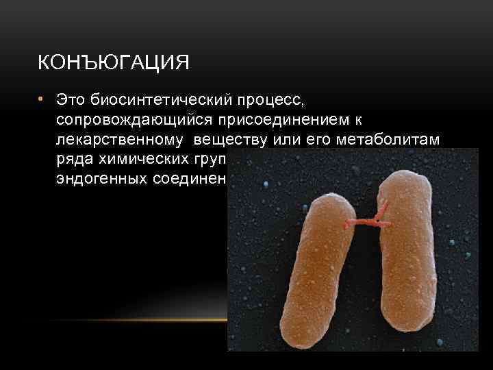 КОНЪЮГАЦИЯ • Это биосинтетический процесс, сопровождающийся присоединением к лекарственному веществу или его метаболитам ряда