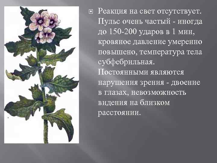  Реакция на свет отсутствует. Пульс очень частый - иногда до 150 -200 ударов