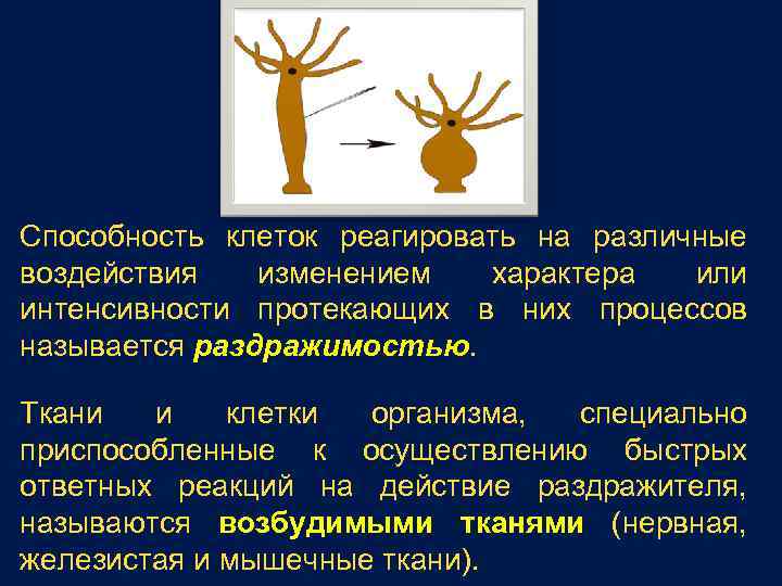 Урок раздражимость и поведение животных 8 класс. Раздражимость у растений и животных таблица. Раздражимость ткани. Как проявляется раздражимость у растений у животных. Процесс раздражимости у животных пример.