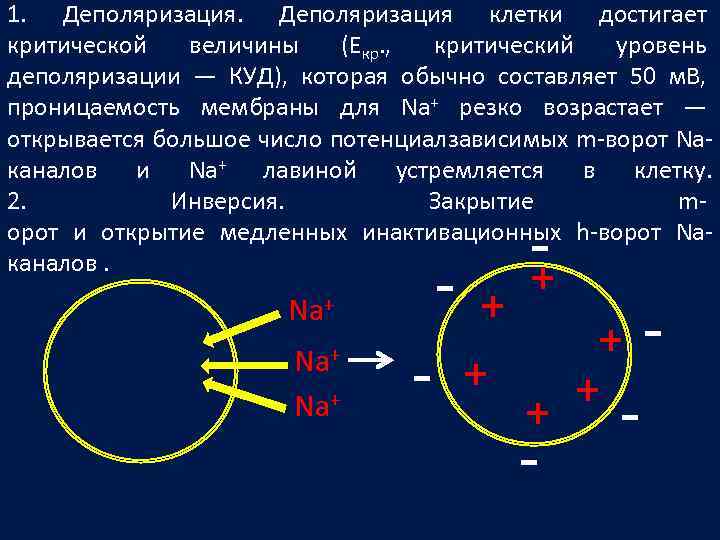 Клетки достижения