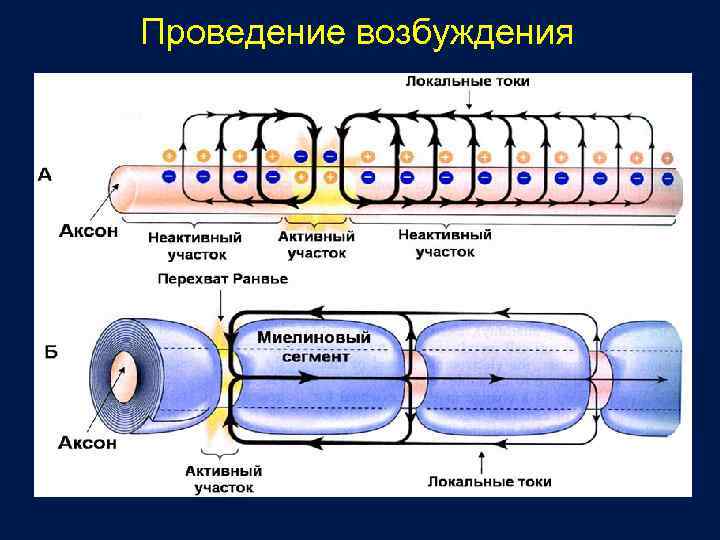 Что происходит в процессе инкапсуляции на канальном уровне на компьютере подключенном к сети