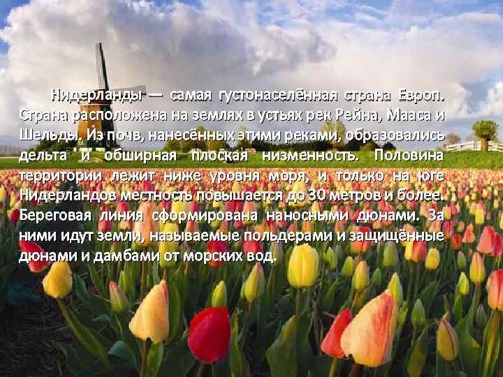  Нидерланды — самая густонаселённая страна Европ. Страна расположена на землях в устьях рек