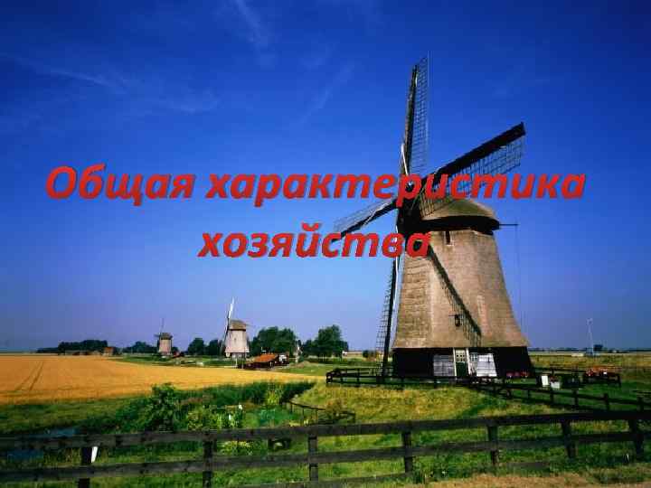 Общая характеристика хозяйства 