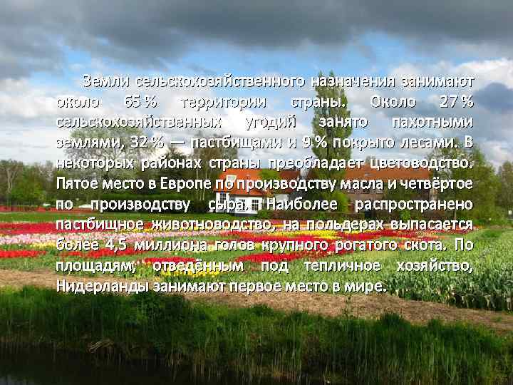  Земли сельскохозяйственного назначения занимают около 65 % территории страны. Около 27 % сельскохозяйственных
