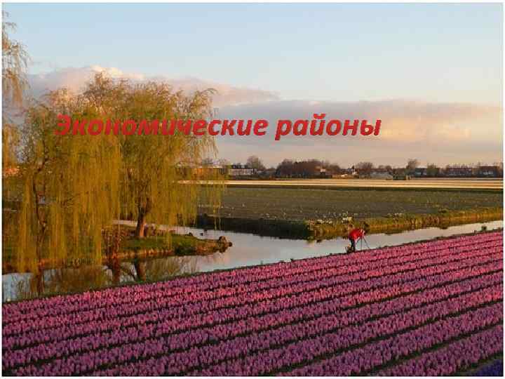 Экономические районы 