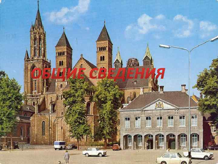 ОБЩИЕ СВЕДЕНИЯ 