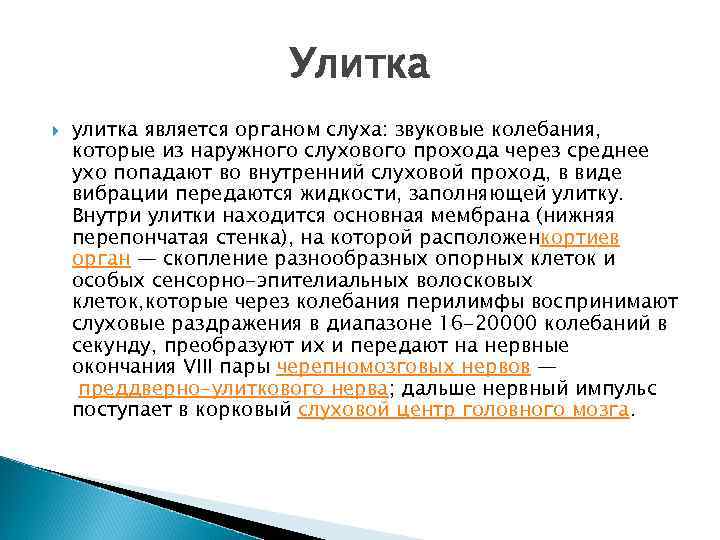 Улитка улитка является органом слуха: звуковые колебания, которые из наружного слухового прохода через среднее