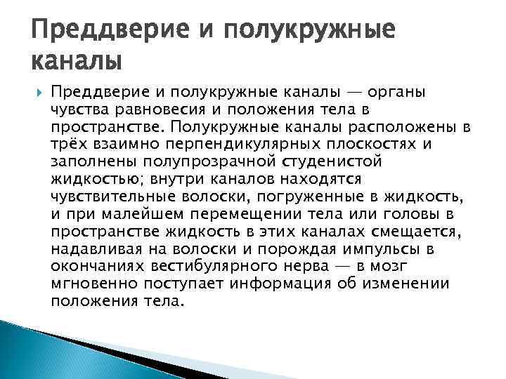 Преддверие и полукружные каналы — органы чувства равновесия и положения тела в пространстве. Полукружные