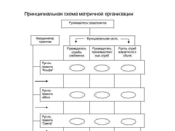 Организационный проект определение