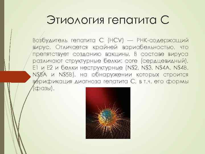 Этиология гепатита С Возбудитель гепатита C (HCV) — РНК-содержащий вирус. Отличается крайней вариабельностью, что